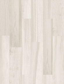 Axis Birch
