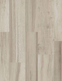Axis Maple