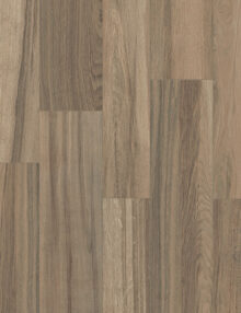 Axis Oak