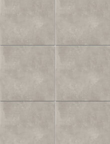 Absolute - Grigio