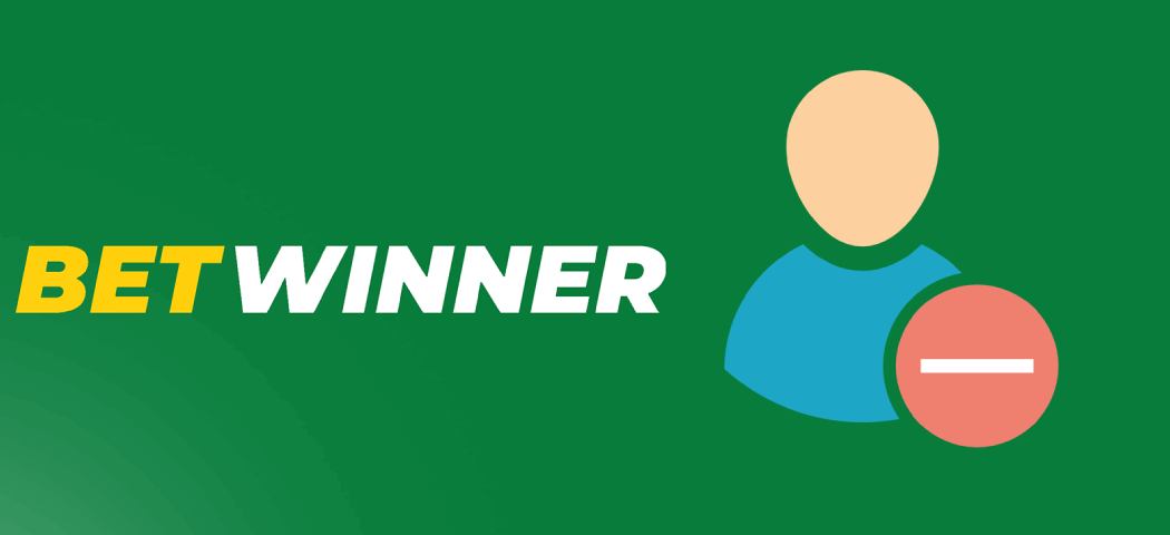 Discovering the Online Gambling Platform BetWinner