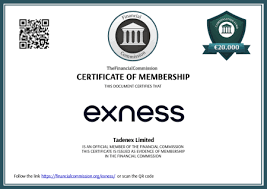 Exness Account Comparison Choosing the Right Trading Account for You