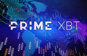 Exploring the Future of Trading with PrimeXBT Hub 0