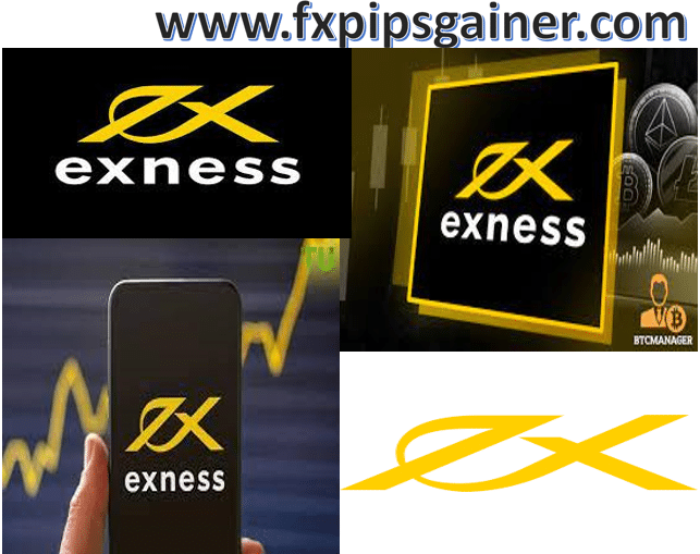 Understanding Exness Forex Brokers Your Ultimate Guide