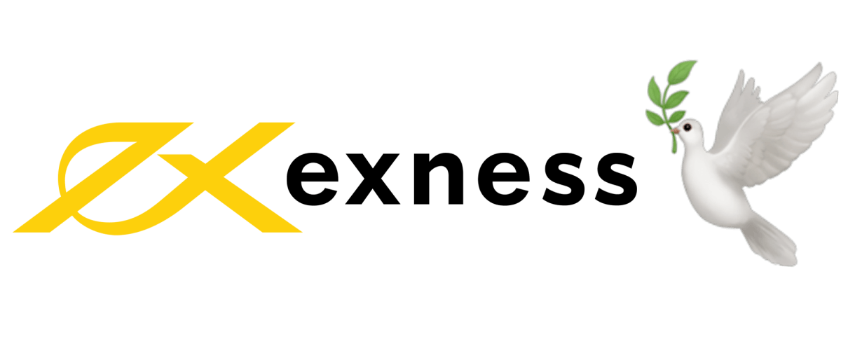 Understanding Exness Trading API Your Gateway to Automated Trading