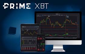 Unlocking the Potential of PrimeXBT Trading Hub -619093671