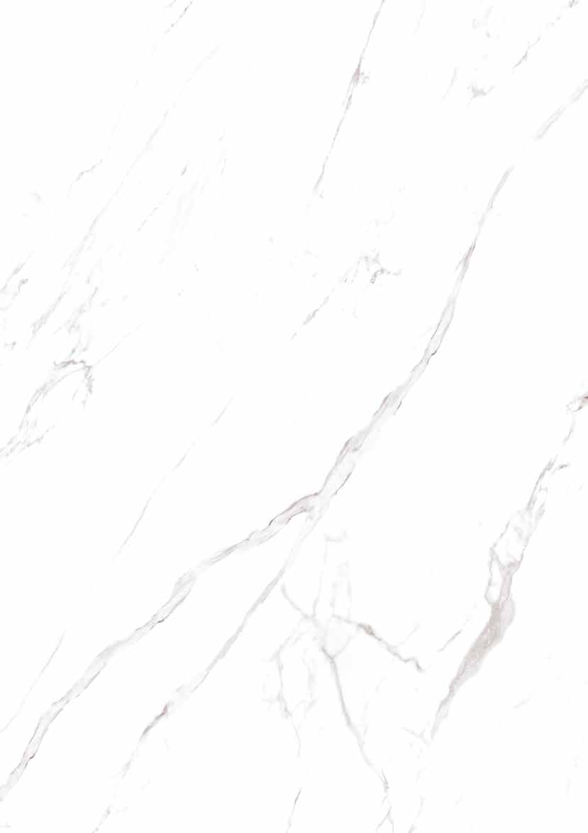 Statuario Grigio 產品照片 / Product image