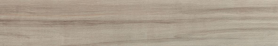 Axis Maple 產品照片 / Product image