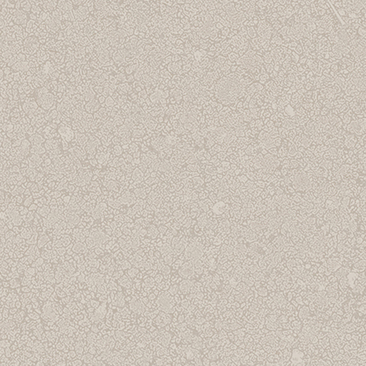 Bioterre HBE11 · Argilla 產品照片 / Product image