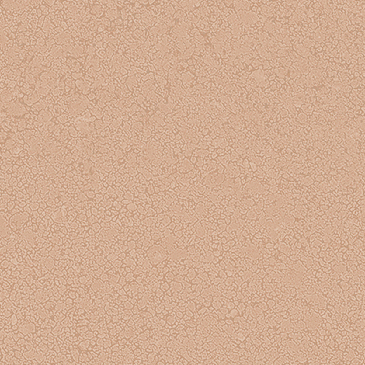 Bioterre HBE6 · Terra 產品照片 / Product image