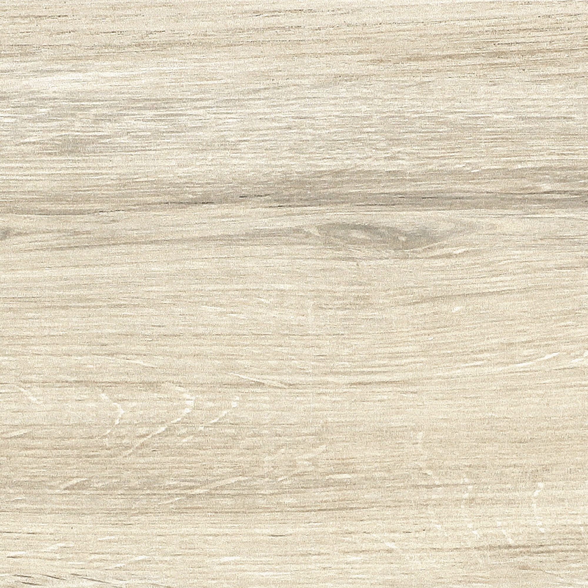 FI 10 產品照片 / Product image