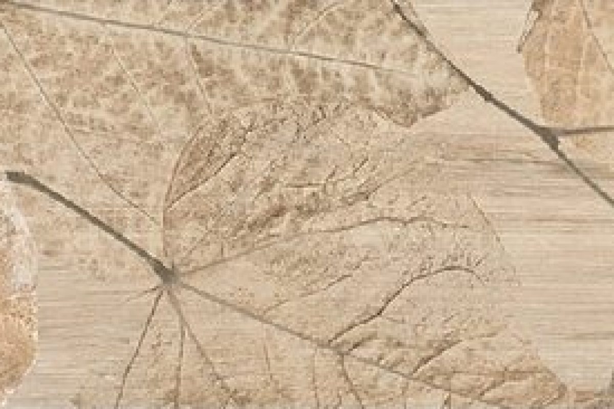 F1 Foliage F1 · 1F 產品紋理近照 / Product detail