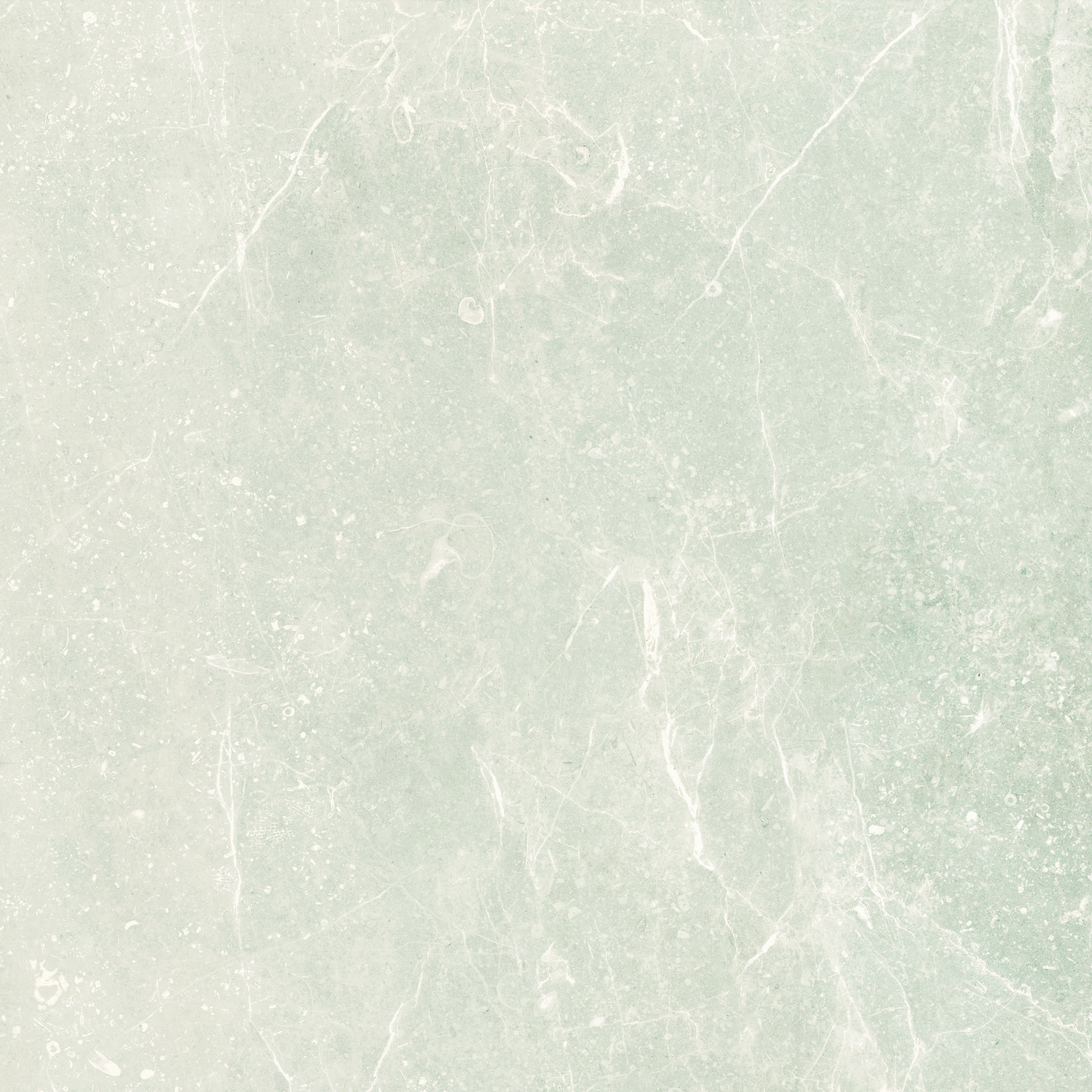 Mapierre · 10003603 · Blanc · 拋光面 / Lappata — surface closeup