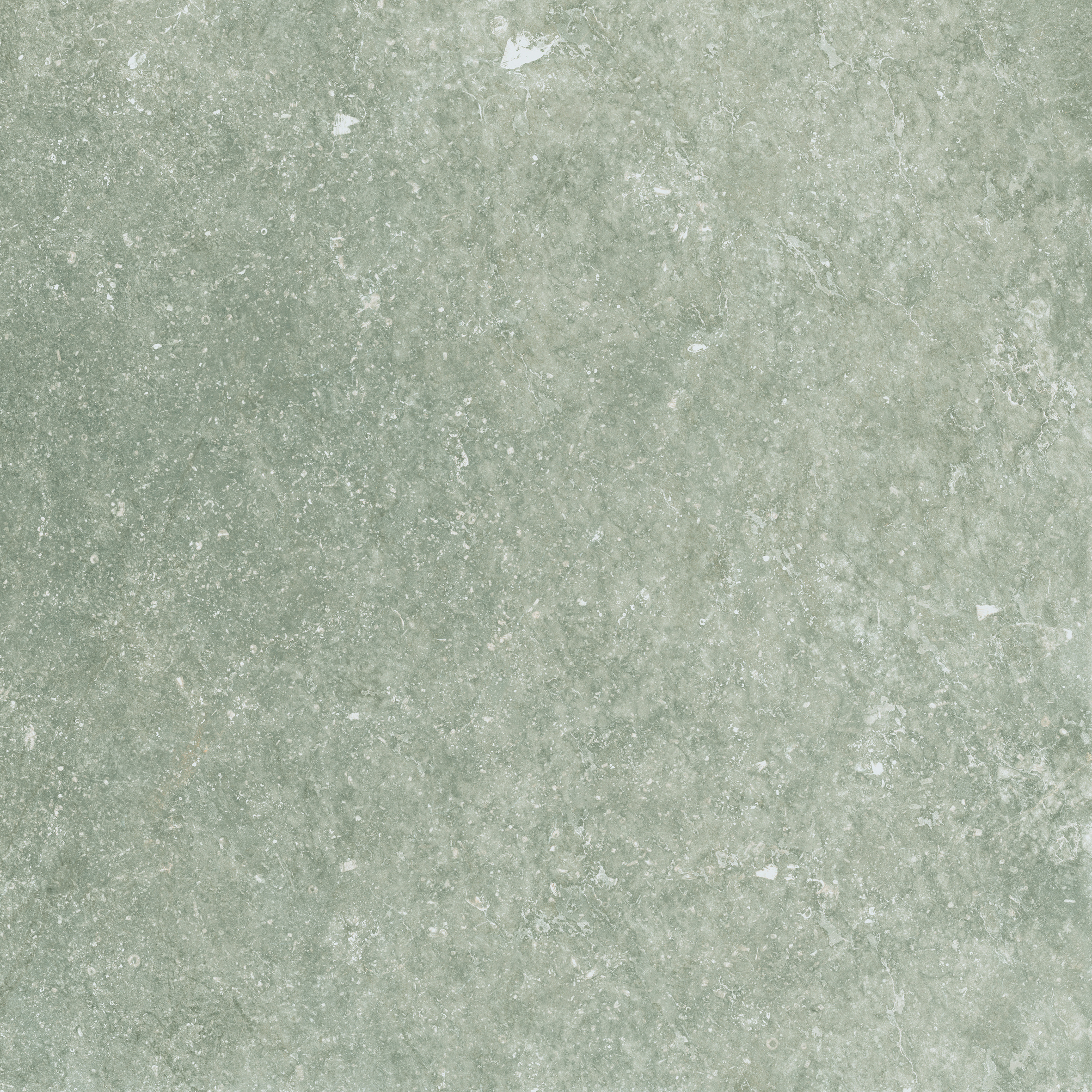 Mapierre · 10003928 · Gris · 拋光面 / Lappata — surface closeup