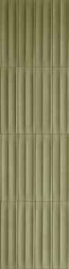 Miniature Rima · K055 · Posidonia — surface closeup